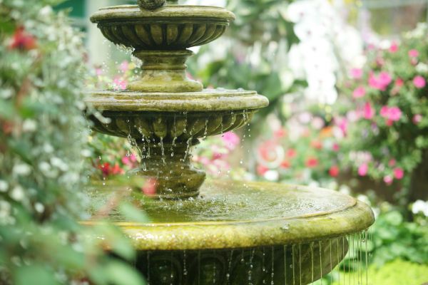 Water Fountain Maintenance