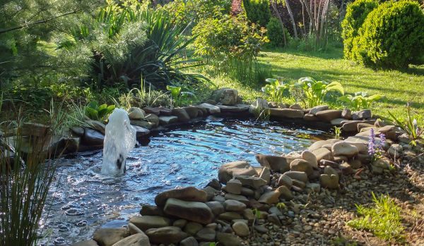 Water Feature Servicing