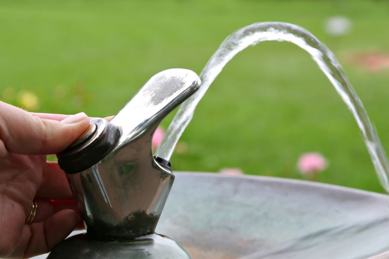 Water Fountain Maintenance