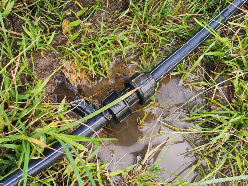 Water Leak Repair in Denver, CO